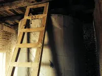 image-1071352076.webp