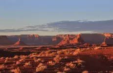 011111_222fin.webp
