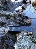 image.webp