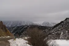pitkin county 1.webp