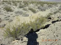 DSCN5571.webp