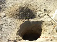 DSCN5575.webp