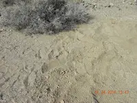 DSCN5583.webp
