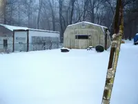 DSCF0005.webp