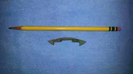 pen.webp