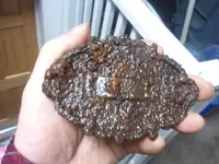 2014-01-20 13.51.49.webp