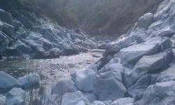 IMAG1231.webp