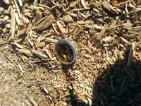 20131220_112724.webp