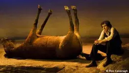 DeadHorse160908_450x257.webp