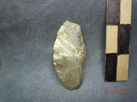 wells gems zotic knife.webp