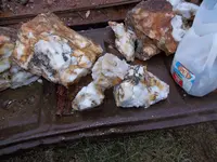 Calcite with minerals 001.webp