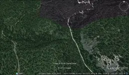 CloseupWB.webp