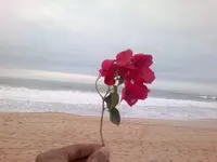 19122013849.webp