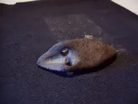 bird stone and miscellaneous 040.webp