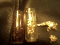 gold.webp