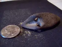 bird stone and miscellaneous 042.webp