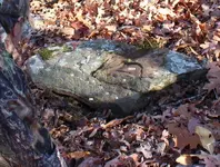 code rock5.webp