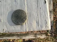 December 12, 2013 027.webp