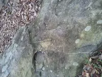 20131221_131917.webp