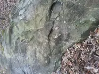 20131221_131908.webp