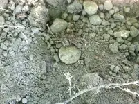 photo.webp