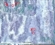 myi-viktorbg.webp