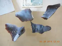 DSCN3718.webp