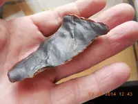 DSCN3719.webp