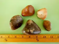 DSCN4281.webp