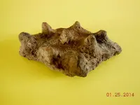 DSCN4901.webp