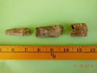 DSCN4287.webp