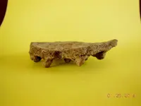 DSCN4902.webp