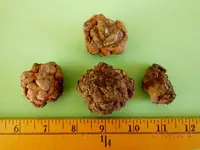 DSCN4283.webp