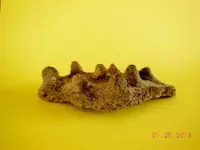DSCN4903.webp