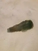 image-2099014000.webp