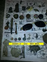 120DENNYNUT.webp