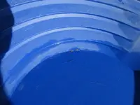 13 gallons of dirt 1a.webp