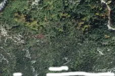 gria 1.webp