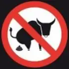 th_No_BullShit.webp