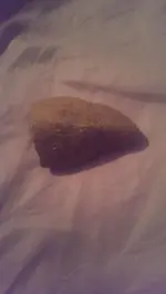 IMAG0522.webp
