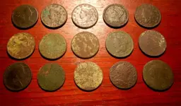 DSC_0098 coppers.webp