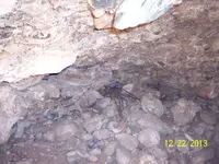 100_2564.webp
