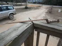 009.webp