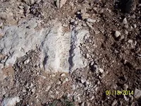 100_2639.webp