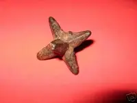 ebay_not-caltrop_dug_blunttips_16b2_1.webp