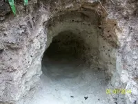 100_2632.webp