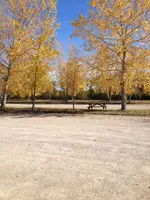 image-3630445248.webp