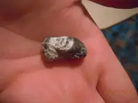 DSCN2375.webp