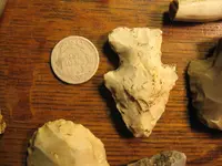 114finds.webp