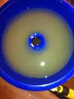 bluebowldirty.webp